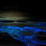body of water during night time