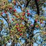 Woman Practicing writing